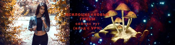 бошки Каменка