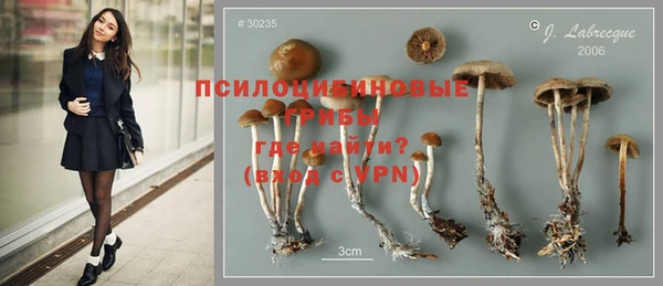 бошки Каменка