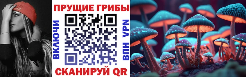 Псилоцибиновые грибы Cubensis  Купить закладки  Острогожск 